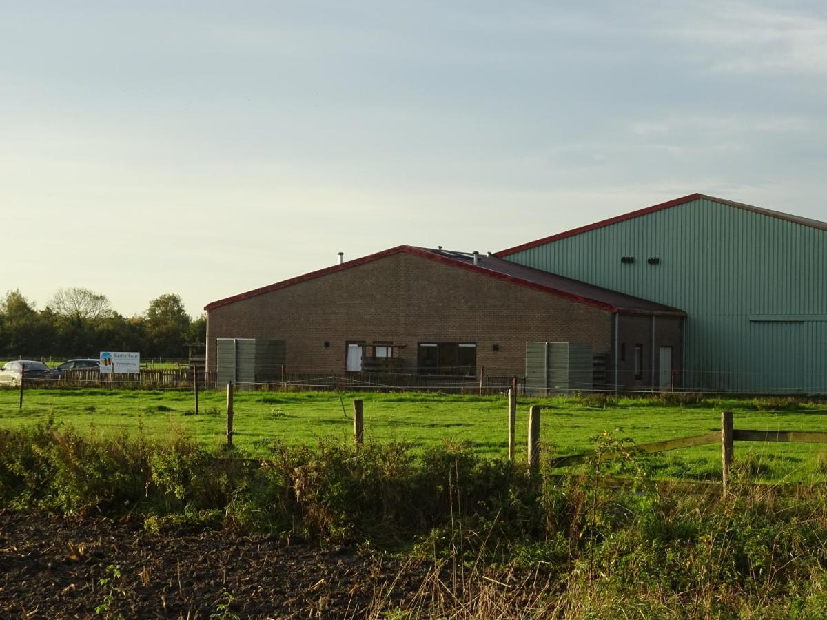Kustverhuur, Oude Manege Nieuwvliet, Nieuwvliet 3 - 9 Exteriör bild